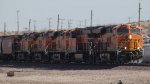 Haulin Hoppers on Valentines